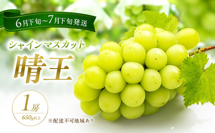 岡山県赤磐市のふるさと納税 ぶどう 2026年 先行予約 シャイン マスカット 晴王 1房 650g以上 2026年6月下旬～7月下旬発送分 ブドウ 葡萄 岡山県 赤磐市産 国産 フルーツ 果物 ギフト 赤坂青空市 シャインマスカット