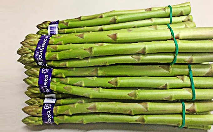 香川県綾川町のふるさと納税 香川県オリジナルアスパラガス「さぬきのめざめ」春芽　約1kg 野菜