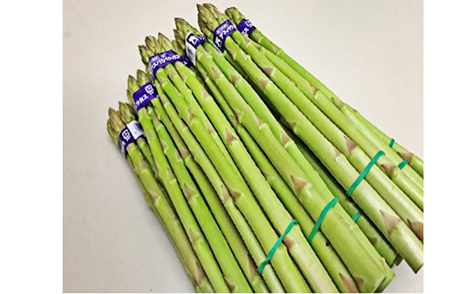 香川県綾川町のふるさと納税 香川県オリジナルアスパラガス「さぬきのめざめ」春芽　約1.5kg 野菜