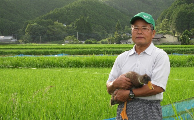 熊本県錦町のふるさと納税 合鴨農法米(7kg) 精米 雑穀 お米