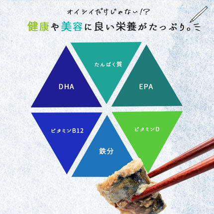 和歌山県湯浅町のふるさと納税 G7323_【訳あり・ご家庭用】大容量！ 無添加 塩さば フィレ 2kg
