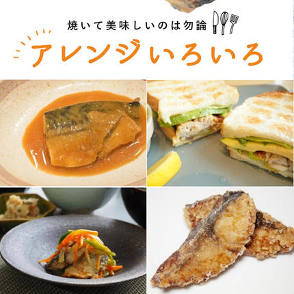 和歌山県湯浅町のふるさと納税 G7323_【訳あり・ご家庭用】大容量！ 無添加 塩さば フィレ 2kg