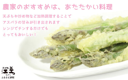 北海道江差町のふるさと納税 ＼春アスパラ 先行予約 2026年4月～順次出荷予定／北海道江差町産 アスパラガス【L～2Lサイズ】 1kg　約20本　太い！ 甘い！ ジューシー！　朝採り　農家直送　新鮮　鮮度保持　北海道　旬野菜　グリーンアスパラ　アスパラ　ギフト　贈答