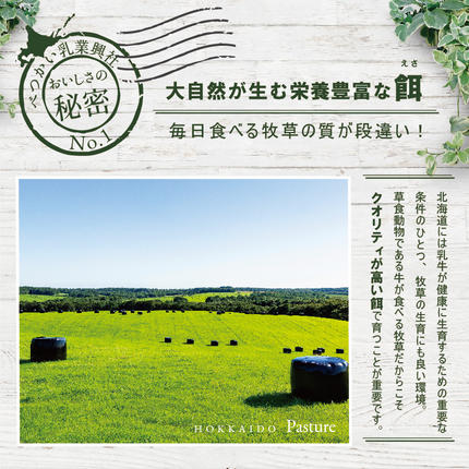 北海道別海町のふるさと納税 アイスクリーム12個(120ml×12）（A-07）（ 北海道アイス 北海道産アイス アイス アイススイーツ アイスクリーム 北海道産アイスクリーム 道産アイス 道産アイスクリーム ギフト 詰合せ 詰め合わせ ふるさと納税 ）