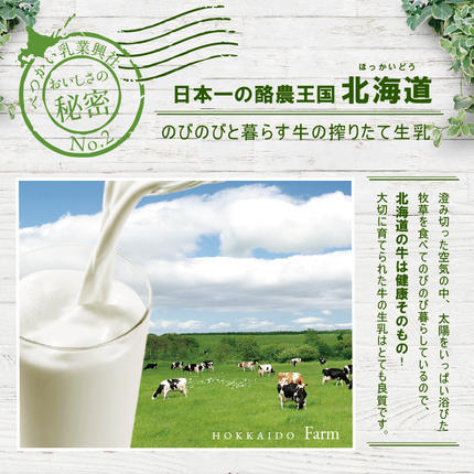 北海道別海町のふるさと納税 アイスクリーム12個(120ml×12）（A-07）（ 北海道アイス 北海道産アイス アイス アイススイーツ アイスクリーム 北海道産アイスクリーム 道産アイス 道産アイスクリーム ギフト 詰合せ 詰め合わせ ふるさと納税 ）