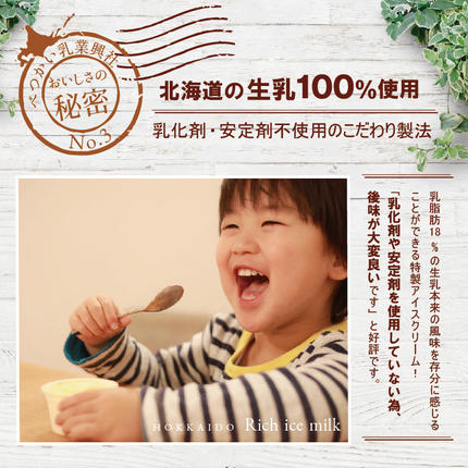 北海道別海町のふるさと納税 アイスクリーム12個(120ml×12）（A-07）（ 北海道アイス 北海道産アイス アイス アイススイーツ アイスクリーム 北海道産アイスクリーム 道産アイス 道産アイスクリーム ギフト 詰合せ 詰め合わせ ふるさと納税 ）