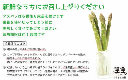北海道江差町のふるさと納税 【セゾン限定寄附額】＼夏アスパラ申込受付7月20日まで／北海道江差町産 アスパラガス【L～2Lサイズ】 1kg　約20本　太い！ 甘い！ ジューシー！　朝採り　農家直送　新鮮　鮮度保持　北海道　旬野菜　グリーンアスパラ　アスパラ　ギフト　贈答