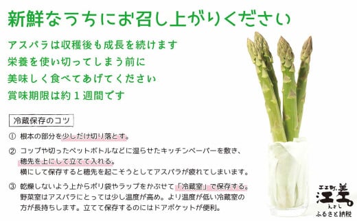 北海道江差町のふるさと納税 ＼春アスパラ 先行予約 2026年4月～順次出荷予定／北海道江差町産 アスパラガス【L～2Lサイズ】 1kg　約20本　太い！ 甘い！ ジューシー！　朝採り　農家直送　新鮮　鮮度保持　北海道　旬野菜　グリーンアスパラ　アスパラ　ギフト　贈答