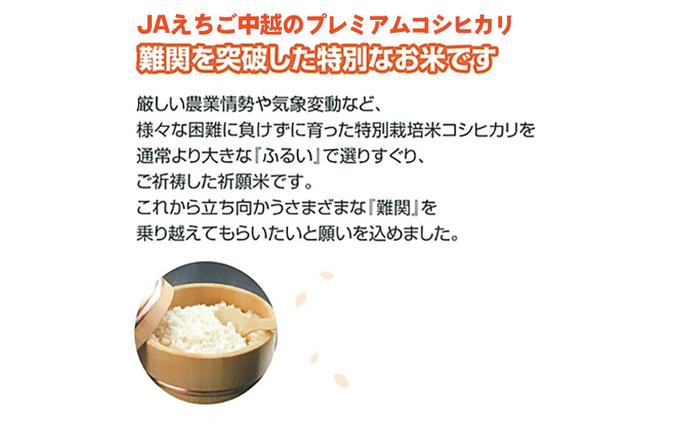 新潟県田上町のふるさと納税 令和7年産 難関突破米 5kg お米 コシヒカリ