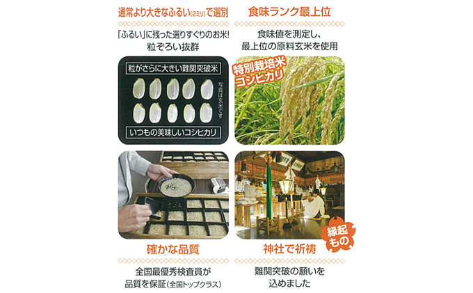 新潟県田上町のふるさと納税 令和7年産 難関突破米 5kg お米 コシヒカリ