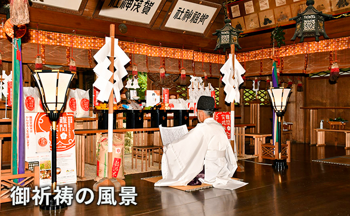 新潟県田上町のふるさと納税 令和7年産 難関突破米 5kg お米 コシヒカリ