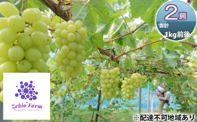 岡山県高梁市のふるさと納税 シャインマスカット 2房 合計1kg前後 葡萄 フルーツ 岡山 高梁市産 ぜきお農園 ぶどうclub 2026年 先行予約 果物類