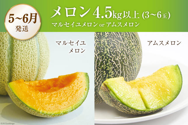 長崎県島原市のふるさと納税 AG131【令和8年度出荷分】 全2回 厳選！夏の人気フルーツ定期便