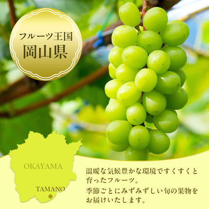 岡山県玉野市のふるさと納税 桃 ぶどう 梨 定期便 2026年 先行予約 晴れの国 岡山 の フルーツ 定期便 6回コース もも 葡萄 なし 岡山県産 国産 セット ギフト アレキサンドリ ニューピオーネ シャインマスカット 晴王 紫苑