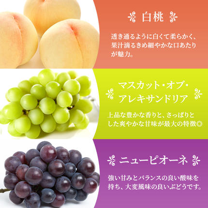 岡山県玉野市のふるさと納税 桃 ぶどう 梨 定期便 2026年 先行予約 晴れの国 岡山 の フルーツ 定期便 6回コース もも 葡萄 なし 岡山県産 国産 セット ギフト アレキサンドリ ニューピオーネ シャインマスカット 晴王 紫苑