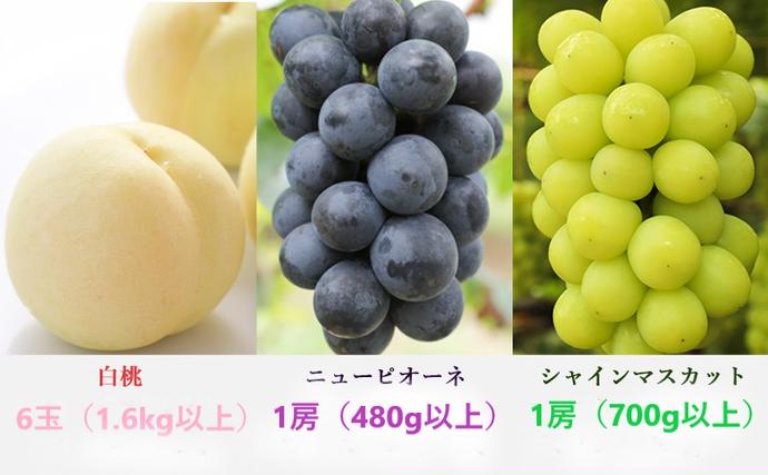 岡山県玉野市のふるさと納税 桃 ぶどう 定期便 2026年 先行予約 晴れの国 岡山 の フルーツ 定期便 3回コース もも モモ 葡萄 ブドウ 岡山県産 国産 セット ギフト 白桃 ニューピオーネ 強い甘み シャインマスカット 晴王