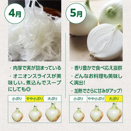 愛知県碧南市のふるさと納税 (2026年発送) ≪『満天☆青空レストラン』で紹介されました！≫新玉ねぎ 生がおいしい 神重農産のブランド玉ねぎ「旬玉」5kg ブランド玉ねぎ 玉ねぎ 国産 愛知県産 野菜 やさい 農家直送 畑直送 旬 期間限定 たまねぎ 旬 特産 高評価 高リピート 人気 H105-220