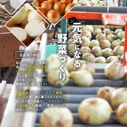 愛知県碧南市のふるさと納税 (2026年発送)新玉ねぎ 生がおいしい 神重農産のブランド玉ねぎ「旬玉」5kg ブランド玉ねぎ 玉ねぎ 国産 愛知県産 野菜 やさい 農家直送 畑直送 旬 期間限定 たまねぎ 先行予約 旬 特産 高評価 高リピート 人気 H105-176