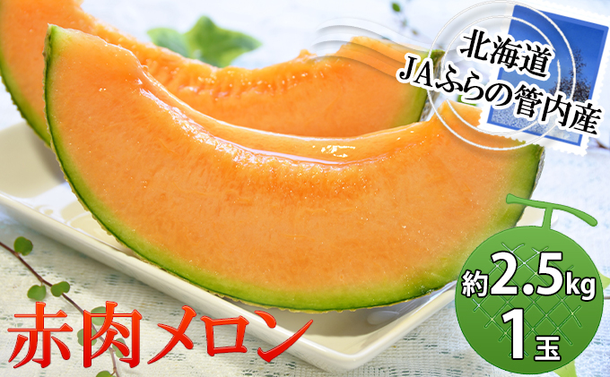 北海道南富良野町のふるさと納税 2026年夏発送  メロン 北海道 ふらの 赤肉メロン 約2.5kg×1玉 JAふらの 厳選 産地直送 赤肉 富良野メロン フルーツ 果物 果実 旬 旬のくだもの デザート おやつ めろん 富良野