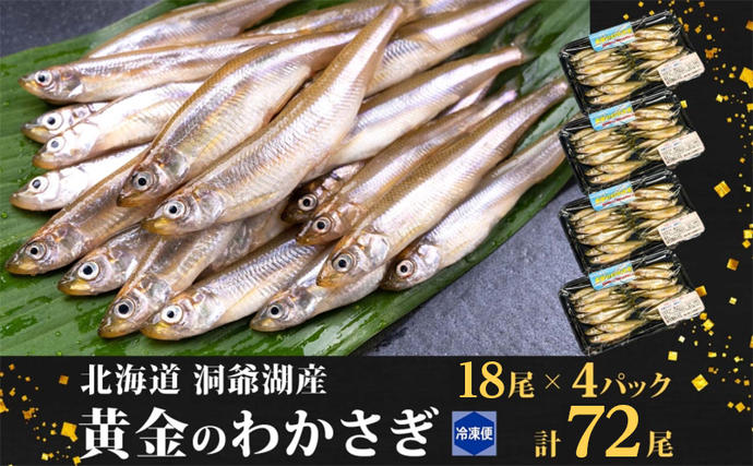 北海道洞爺湖町のふるさと納税 洞爺湖町産 黄金のわかさぎ 18尾×4P 計72尾 北海道産 ワカサギ わかさぎ 川魚 魚介類 産地直送 冷凍 お取り寄せ グルメ 料理 天ぷら フライ とうやマルシェ 北海道 洞爺湖町