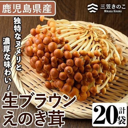生ブラウンえのき茸(20袋・計3.6kg)国産 エノキ きのこ 茸 キノコ 個包装【三笠えのき茸生産組合】akn010-09 / 鹿児島県 ...
