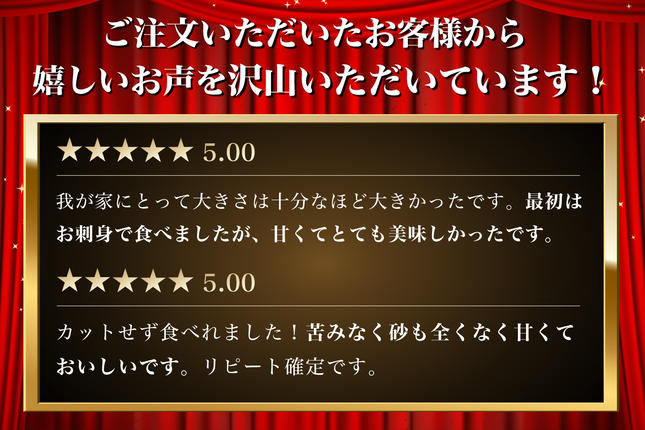 北海道厚岸町のふるさと納税 北海道 訳あり 冷凍 帆立 貝柱 1.1kg ホタテ 海鮮 ほたて 玉冷 お得 厚岸