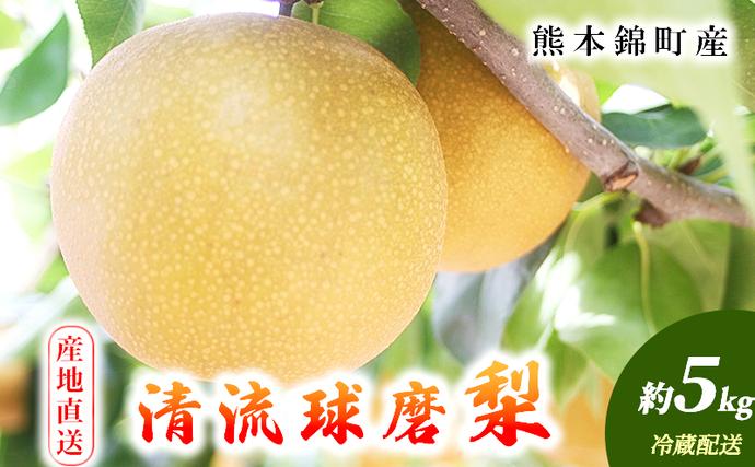 梨 旬 5kg 先行予約 2026年発送 