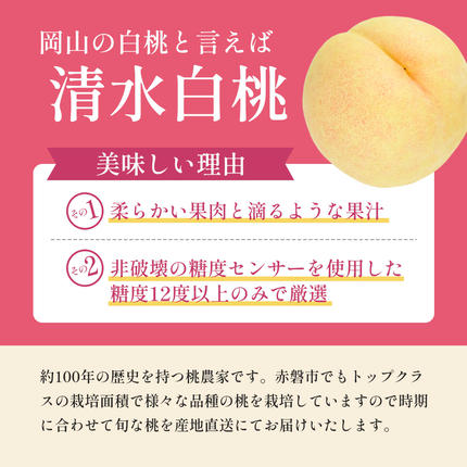 岡山県赤磐市のふるさと納税 桃 2026年 先行予約 清水 白桃 をお届け！約1.5kg 5～7玉 糖度センサー選果 糖度12度以上 もも モモ 岡山県 赤磐市産 国産 フルーツ 果物 ギフト あみかフルーツ 果汁 産地直送