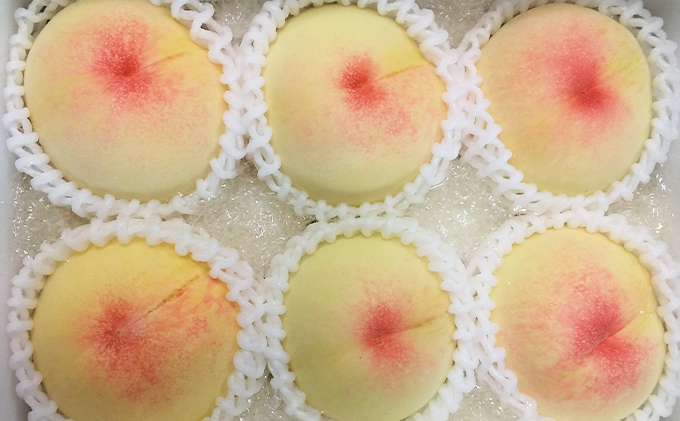 岡山県赤磐市のふるさと納税 桃 2026年 先行予約 7月の旬な 白桃 をお届け！約1.5kg 5～7玉 もも モモ 岡山県 赤磐市産 国産 フルーツ 果物 ギフト あみかフルーツ 岡山の桃 旬のフルーツ 柔らかい ジューシー 産地直送 旬の桃