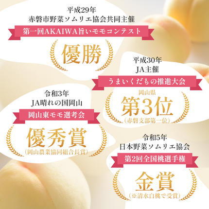 岡山県赤磐市のふるさと納税 桃 2026年 先行予約 清水 白桃 をお届け！約1.5kg 5～7玉 糖度センサー選果 糖度12度以上 もも モモ 岡山県 赤磐市産 国産 フルーツ 果物 ギフト あみかフルーツ 果汁 産地直送