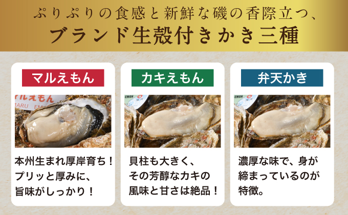 北海道厚岸町のふるさと納税 北海道厚岸産【殻かき三種】食べ比べ セット 魚貝類 生牡蠣 送料無料 新鮮 濃厚 大粒