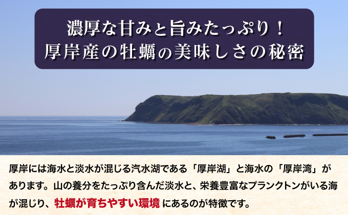 北海道厚岸町のふるさと納税 北海道厚岸産【殻かき三種】食べ比べ セット 魚貝類 生牡蠣 送料無料 新鮮 濃厚 大粒