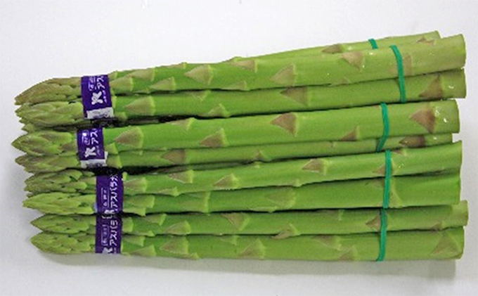 香川県綾川町のふるさと納税 香川県オリジナルアスパラガス「さぬきのめざめ」夏芽　約700g 野菜