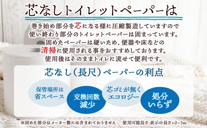 岐阜県美濃市のふるさと納税 トイレットペーパー 天使の時間 芯なし シングル 110ｍ 12ロール×6袋 計72ロール