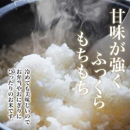 奈良県葛城市のふるさと納税 【令和7年産米】無洗米 奈良県産 ヒノヒカリ 10kg（5kg×2袋）／ 全農パールライス 米 お米 白米 国産 奈良県 葛城市 こめ コメ ライス ご飯 ごはん ふっくら もちもち つやつや おいしい 美味しい 贈り物 国産 特産品 産地直送 数量限定 人気 おすすめ 10キロ 【prr002A】