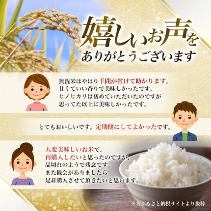 奈良県葛城市のふるさと納税 【令和7年産米】無洗米 奈良県産 ヒノヒカリ 10kg（5kg×2袋）／ 全農パールライス 米 お米 白米 国産 奈良県 葛城市 こめ コメ ライス ご飯 ごはん ふっくら もちもち つやつや おいしい 美味しい 贈り物 国産 特産品 産地直送 数量限定 人気 おすすめ 10キロ 【prr002A】