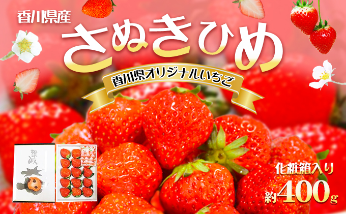 香川県綾川町のふるさと納税 【1月から順次発送】さぬきひめ苺（化粧箱入り） 果物類 いちご イチゴ