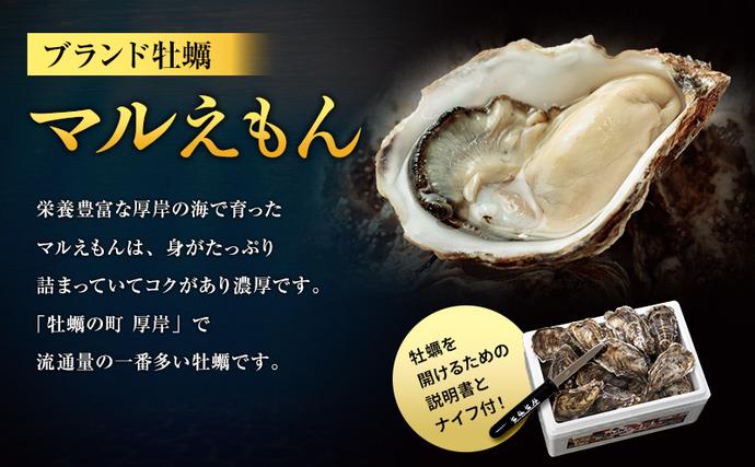 北海道厚岸町のふるさと納税 ４月発送 訳あり 牡蠣 北海道厚岸産 殻付カキ 約4kg (25から50個) カキナイフ付 生食 生牡蠣 貝付き牡蠣 貝 海鮮 魚介類 殻付き牡蠣 マルえもん