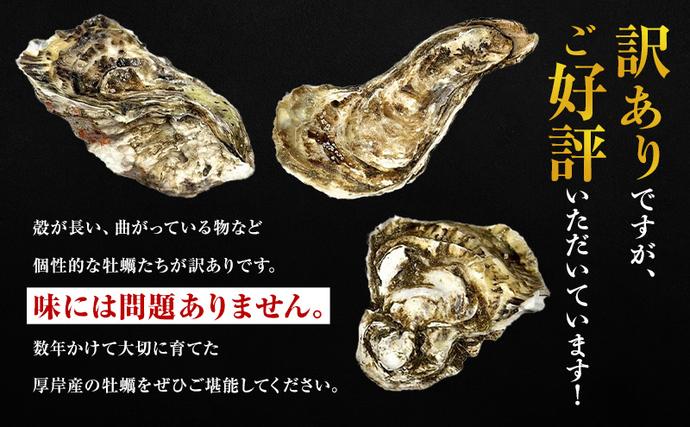 北海道厚岸町のふるさと納税 ４月発送 訳あり 牡蠣 北海道厚岸産 殻付カキ 約4kg (25から50個) カキナイフ付 生食 生牡蠣 貝付き牡蠣 貝 海鮮 魚介類 殻付き牡蠣 マルえもん