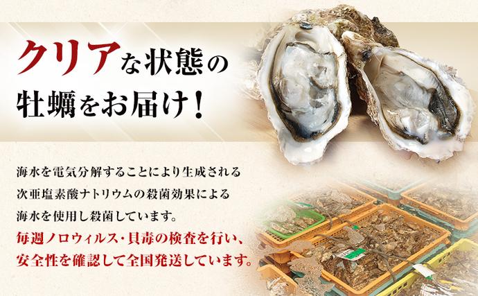 北海道厚岸町のふるさと納税 ４月発送 訳あり 牡蠣 北海道厚岸産 殻付カキ 約4kg (25から50個) カキナイフ付 生食 生牡蠣 貝付き牡蠣 貝 海鮮 魚介類 殻付き牡蠣 マルえもん