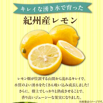 和歌山県湯浅町のふるさと納税 EA6021n_【訳あり・ご家庭用】完熟 レモン 2kg 皮まで使用可能（栽培期間中農薬不使用）