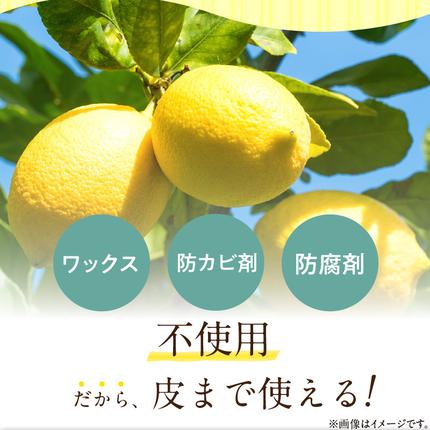 和歌山県湯浅町のふるさと納税 EA6021n_【訳あり・ご家庭用】完熟 レモン 2kg 皮まで使用可能（栽培期間中農薬不使用）