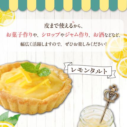 和歌山県湯浅町のふるさと納税 EA6021n_【訳あり・ご家庭用】完熟 レモン 2kg 皮まで使用可能（栽培期間中農薬不使用）