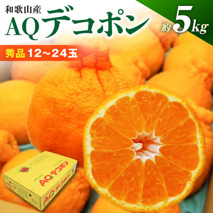 DN6012n_[2027年先行予約]和歌山県産 AQ デコポン 5kg 秀品 (12〜24玉)