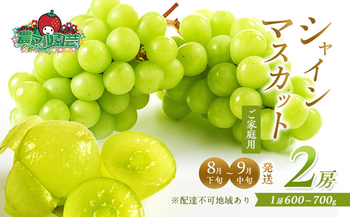 ぶどう 2026年 先行予約 ご家庭用 シャイン マスカット 2房 1房600g