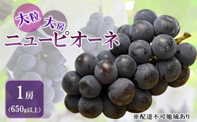 岡山県赤磐市のふるさと納税 ぶどう 2026年 先行予約 ニュー ピオーネ 大粒 大房 1房 650g以上 ブドウ 葡萄 岡山県 赤磐市産 国産 フルーツ 果物 ギフト 赤坂青空市 黒ブドウ 果物類
