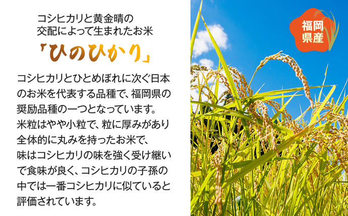 福岡県大木町のふるさと納税 【令和5年産】 福岡県 大木町産 ひのひかり 10kg　BC01