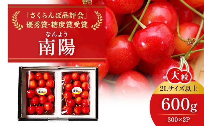 北海道仁木町のふるさと納税 先行受付 北海道 仁木町産 ジャンボサイズ さくらんぼ 【 南陽 】 2Lサイズ以上 300g×2パック 計600g　サクランボ チェリー フルーツ 果物 果物類  仁木町 仁木 [嶋田茂農園匠]