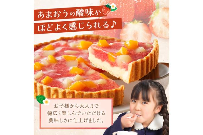 福岡県飯塚市のふるさと納税 あまおう苺のタルトケーキ 6号(約18cm)4～6人分【A4-032】