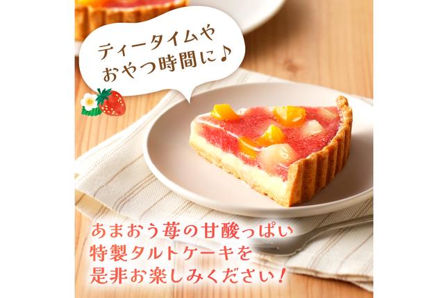 福岡県飯塚市のふるさと納税 あまおう苺のタルトケーキ 6号(約18cm)4～6人分【A4-032】